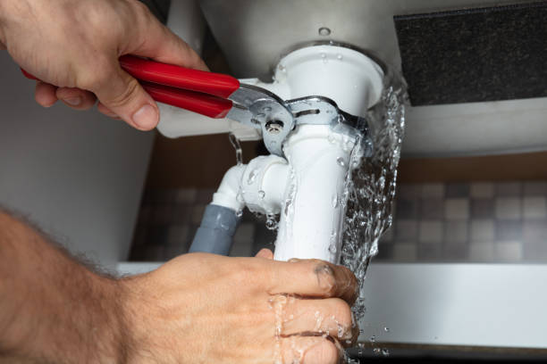 Best Mold removal after water damage  in Cooperstown, NY