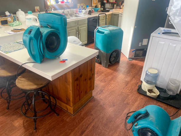 Best Ceiling water damage repair  in Cooperstown, NY