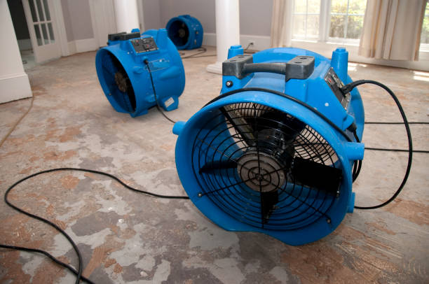 Best Basement water damage restoration  in Cooperstown, NY